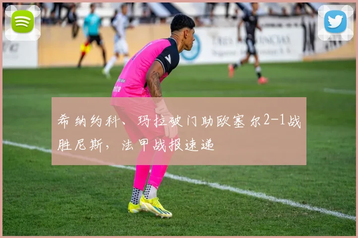 希纳约科、玛拉破门助欧塞尔2-1战胜尼斯，法甲战报速递