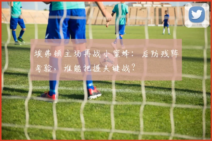 埃弗顿主场再战小蜜蜂：后防残阵考验，谁能把握关键战？
